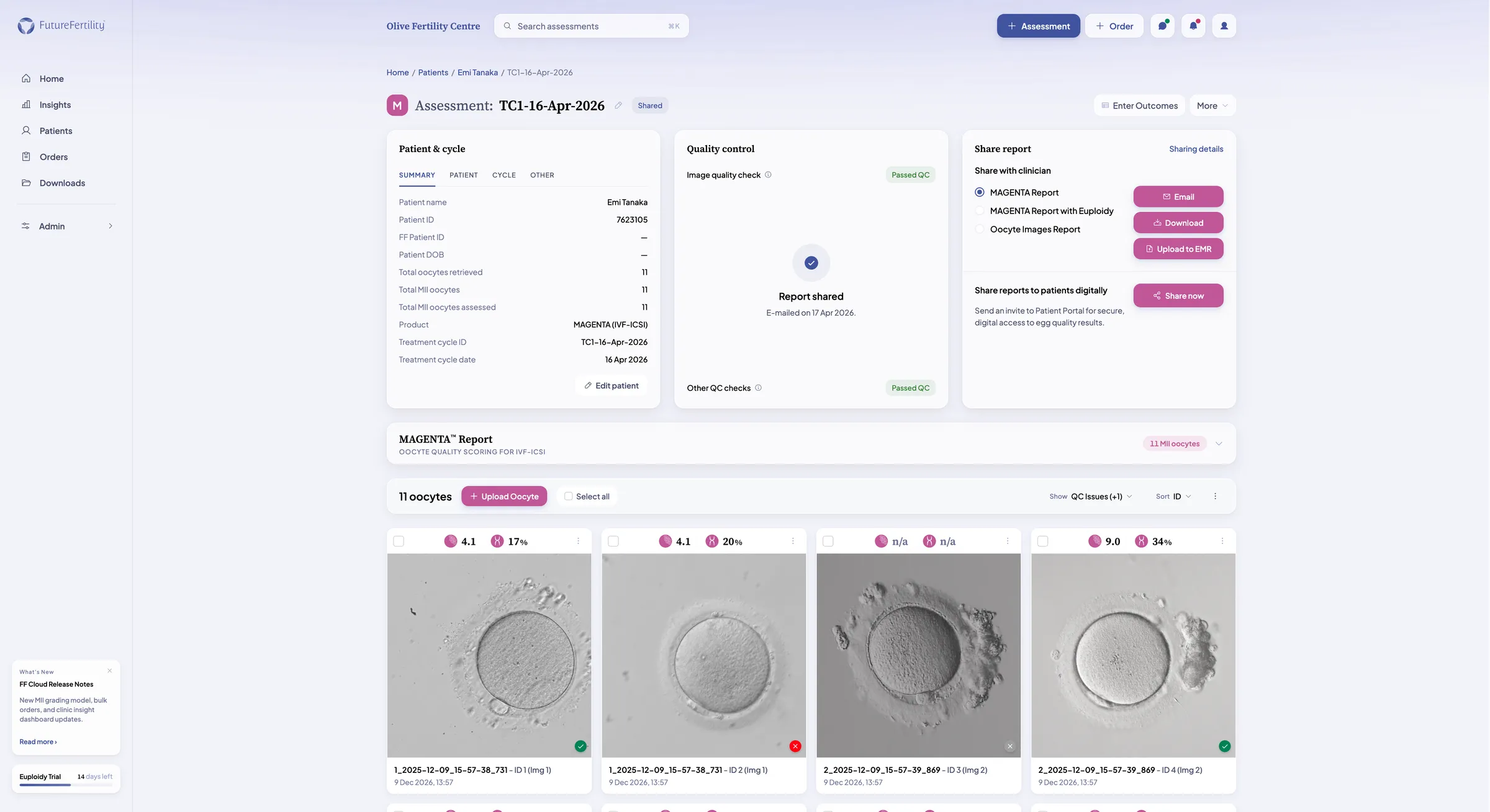 FF Cloud redesigned MAGENTA assessment detail