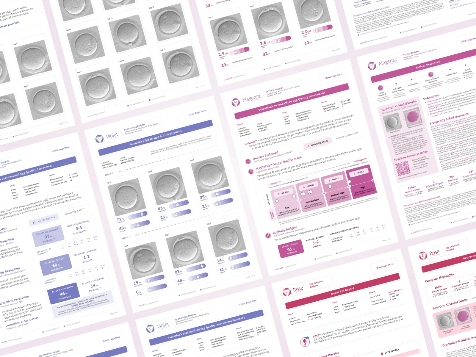 Violet & Magenta — case study preview